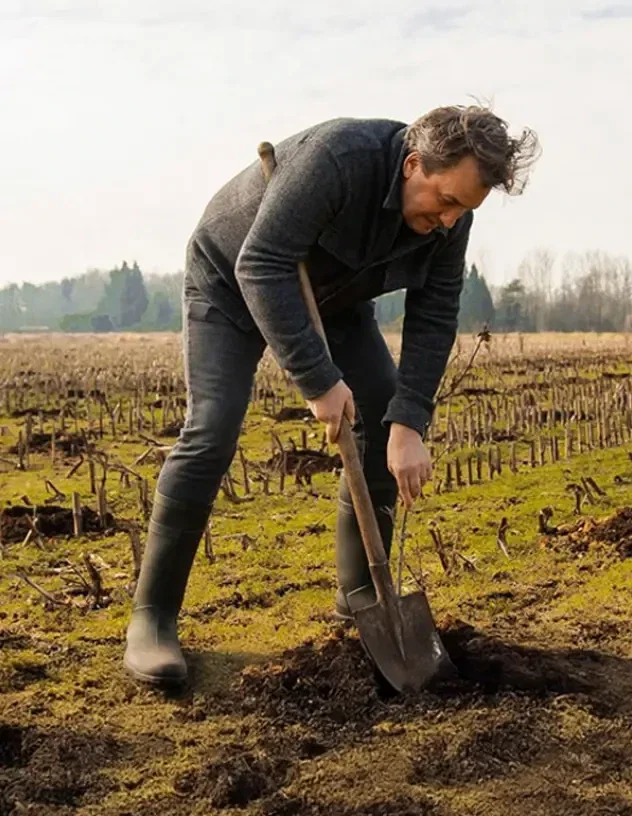 Sustainability nature